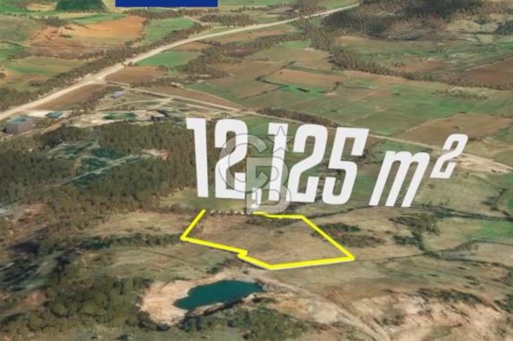 Çanakkale Yenice Çınarcık'ta 12.125 m2 Satılık Yolu Olan Tarla 