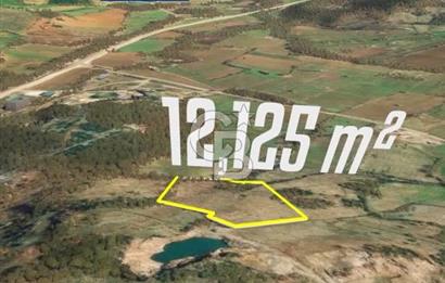 Çanakkale Yenice Çınarcık'ta 12.125 m2 Satılık Yolu Olan Tarla 