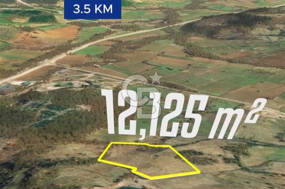 Çanakkale Yenice Çınarcık'ta 12.125 m2 Satılık Yolu Olan Tarla 