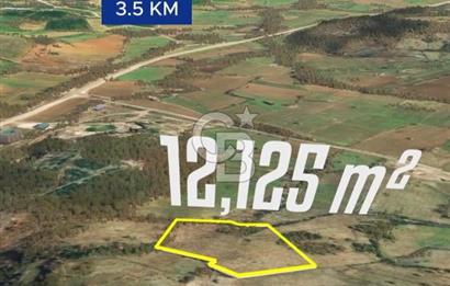 Çanakkale Yenice Çınarcık'ta 12.125 m2 Satılık Yolu Olan Tarla 