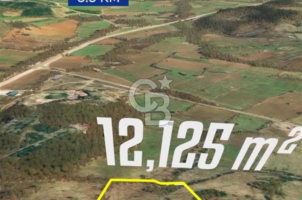 Çanakkale Yenice Çınarcık'ta 12.125 m2 Satılık Yolu Olan Tarla 