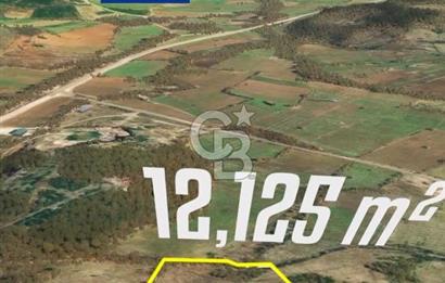 Çanakkale Yenice Çınarcık'ta 12.125 m2 Satılık Yolu Olan Tarla 