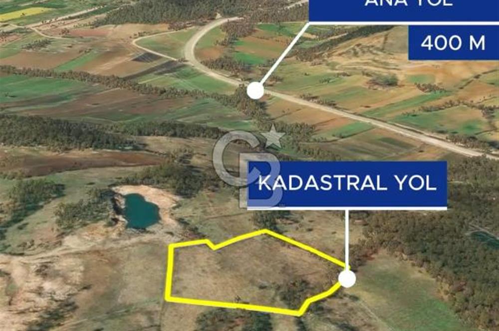 Çanakkale Yenice Çınarcık'ta 12.125 m2 Satılık Yolu Olan Tarla 