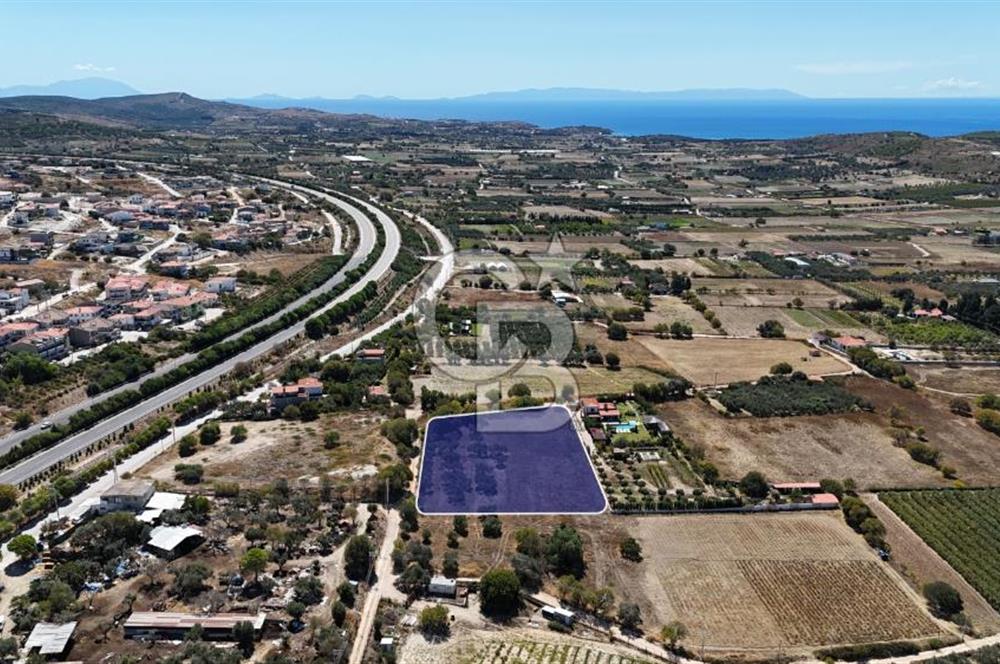 Çeşme Musalla Otoban Yakınında Tarla