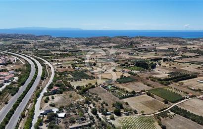 Çeşme Musalla Otoban Yakınında Tarla