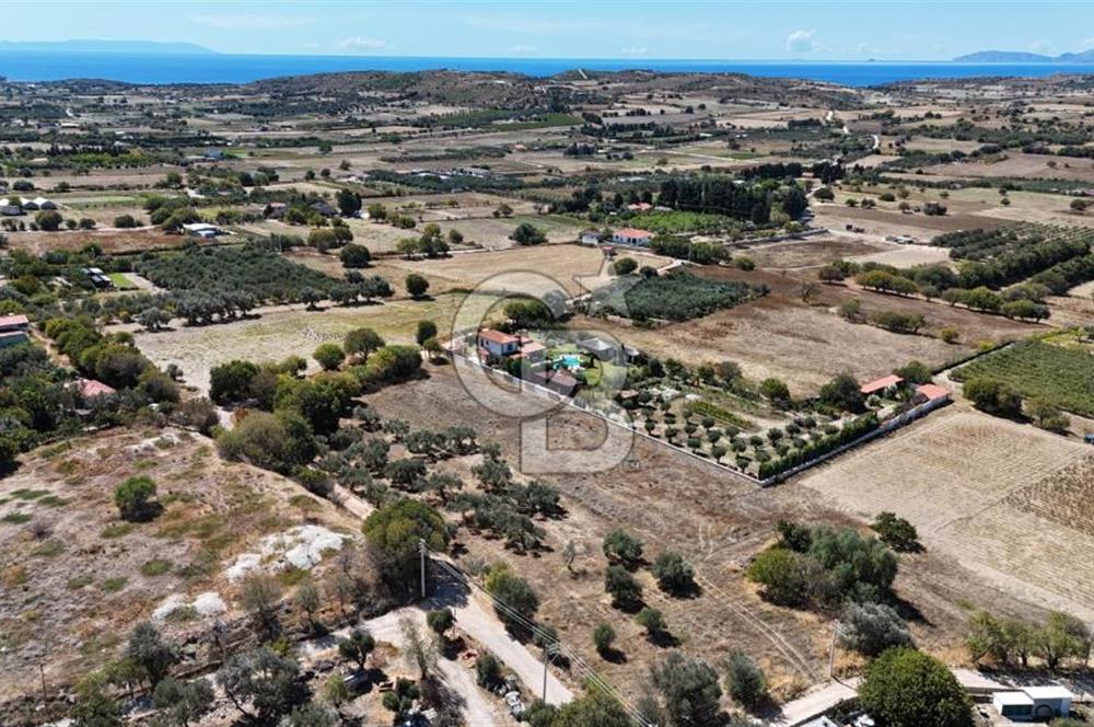 Çeşme Musalla Otoban Yakınında Tarla