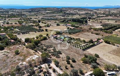 Çeşme Musalla Otoban Yakınında Tarla