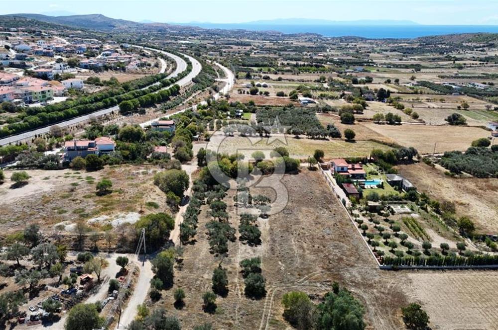 Çeşme Musalla Otoban Yakınında Tarla