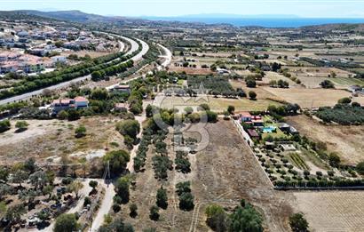 Çeşme Musalla Otoban Yakınında Tarla