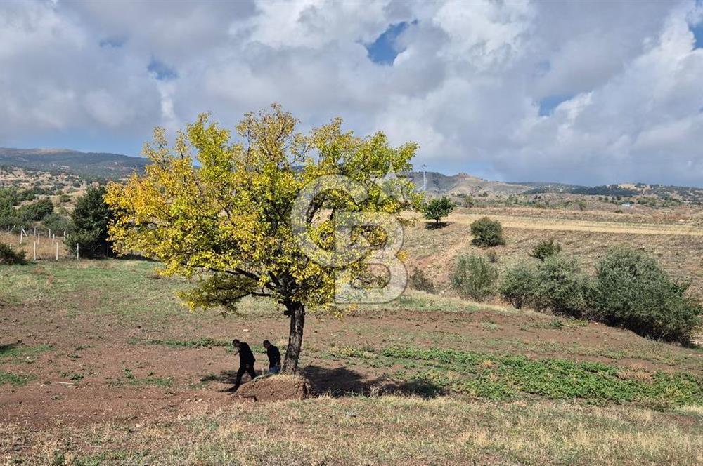 ELMADAĞ KARACAHASAN SATILIK TEK TAPU MÜSTAKİL PARSEL