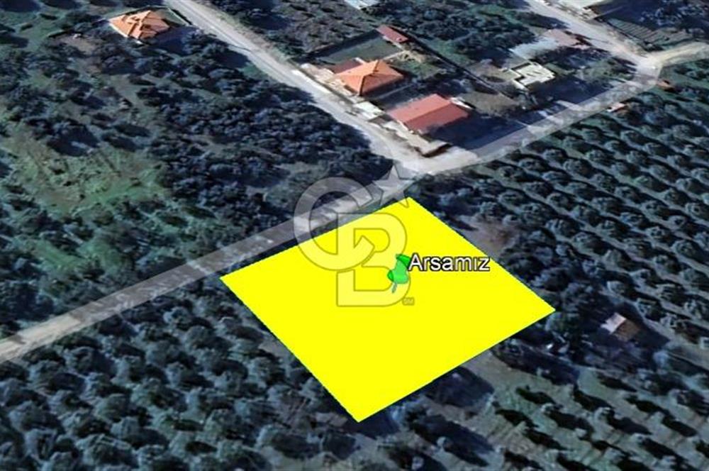 AKHİSAR'DA 1640 M2 VİLLA İMARLI ARSA