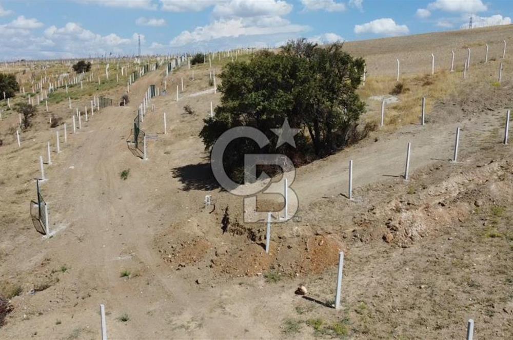 Ankara Akyurt’ta Satılık Bahçeler