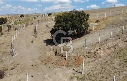 Ankara Akyurt’ta Satılık Bahçeler