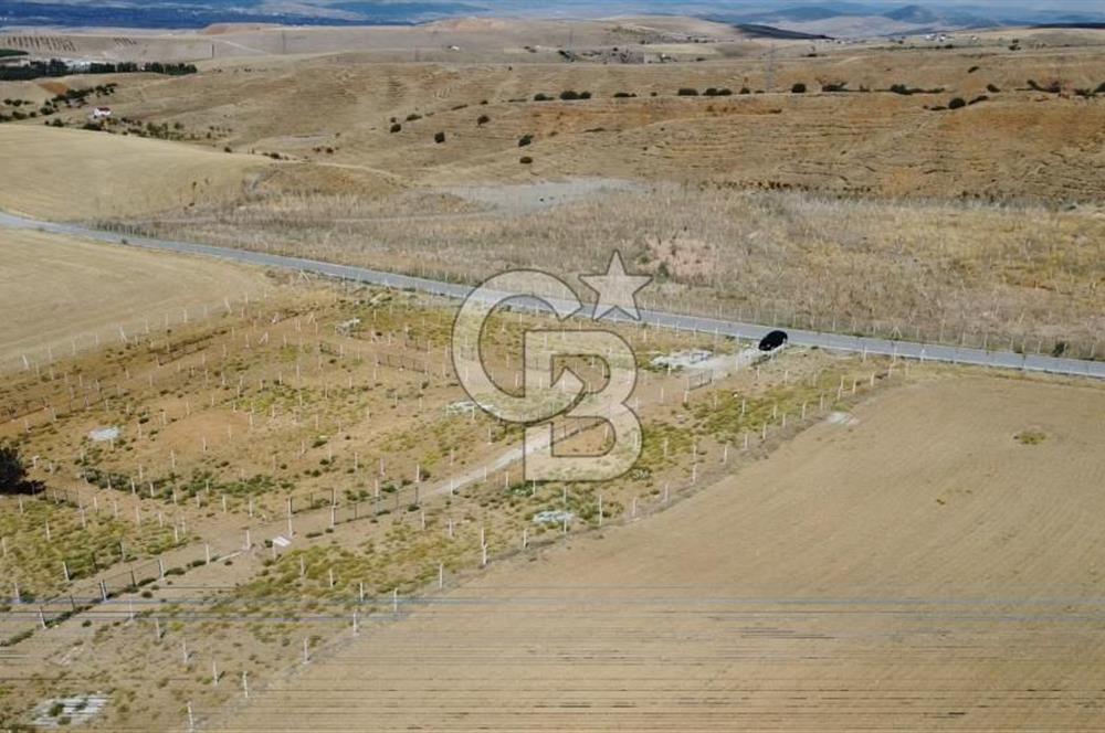 Ankara Akyurt’ta Satılık Bahçeler