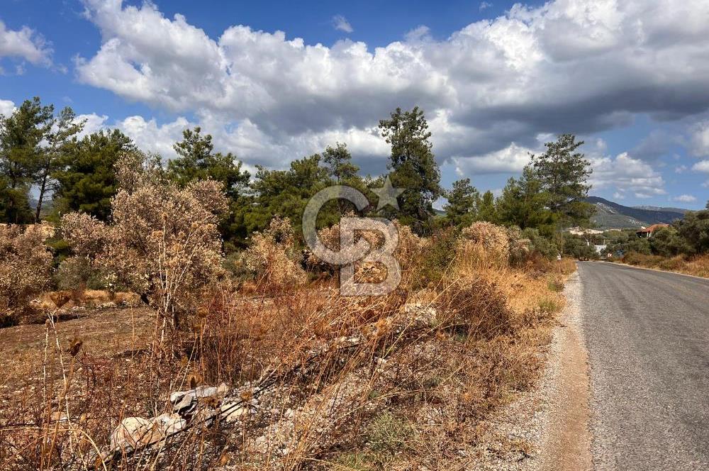 Milas Karacahisar köyü 3,102 m2 .yatırımlık satılık tarla 