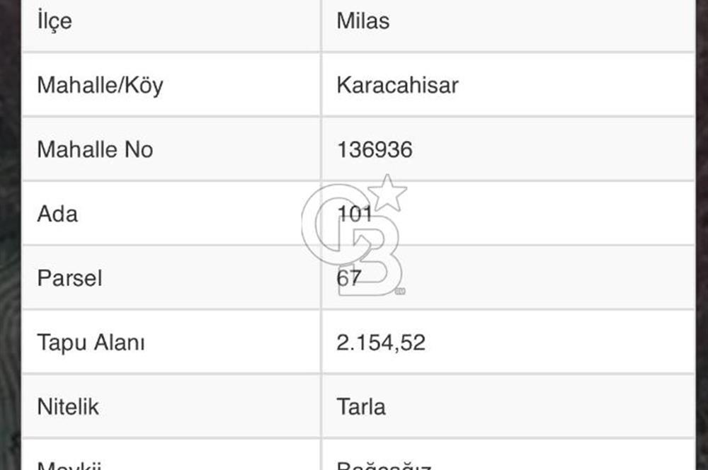 Milas Karacahisar köyünde yola sıfır yatırımlık satılık tarla