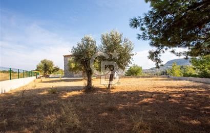 Karaburun Mordoğan'da Panaromik Deniz Manzaralı Taş Villa