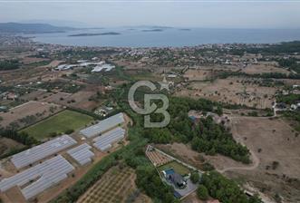 İZMİR URLA KALABAKTA SATILIK 19.946 M2 DENİZ MANZARALI ARAZİ