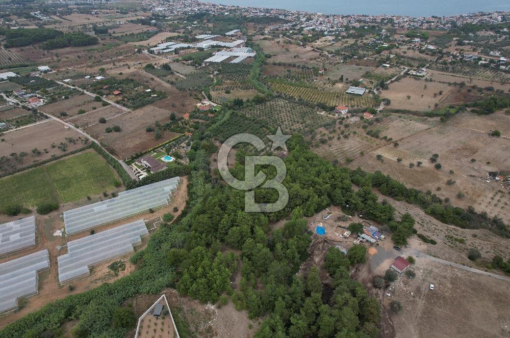 İZMİR URLA KALABAKTA SATILIK 19.946 M2 DENİZ MANZARALI ARAZİ