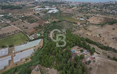 İZMİR URLA KALABAKTA SATILIK 19.946 M2 DENİZ MANZARALI ARAZİ