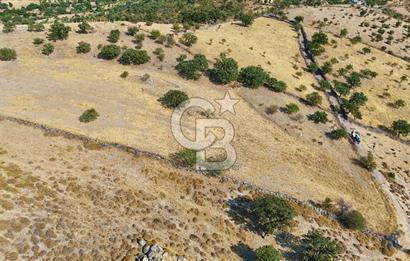 Çanakkale Ayvacık Naldöken Köyünde 10.018 M2 Satılık Tarla !