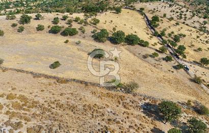 Çanakkale Ayvacık Naldöken Köyünde 10.018 M2 Satılık Tarla !