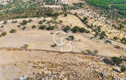 Çanakkale Ayvacık Naldöken Köyünde 10.018 M2 Satılık Tarla !