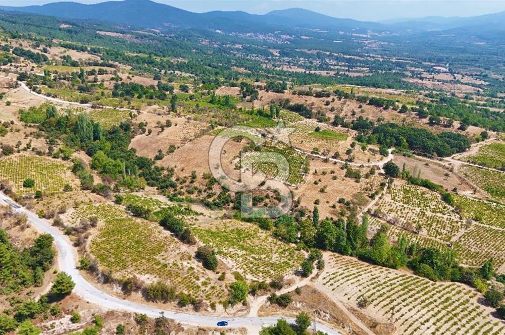 Çanakkale Bayramiç Sarıot Köyünde 4.700 M2 Satılık Üzüm Bağı !