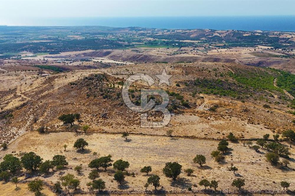 Çanakkale Ayvacık Naldöken Köyünde 10.018 M2 Satılık Tarla !