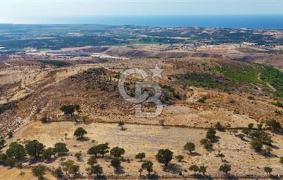 Çanakkale Ayvacık Naldöken Köyünde 10.018 M2 Satılık Tarla !