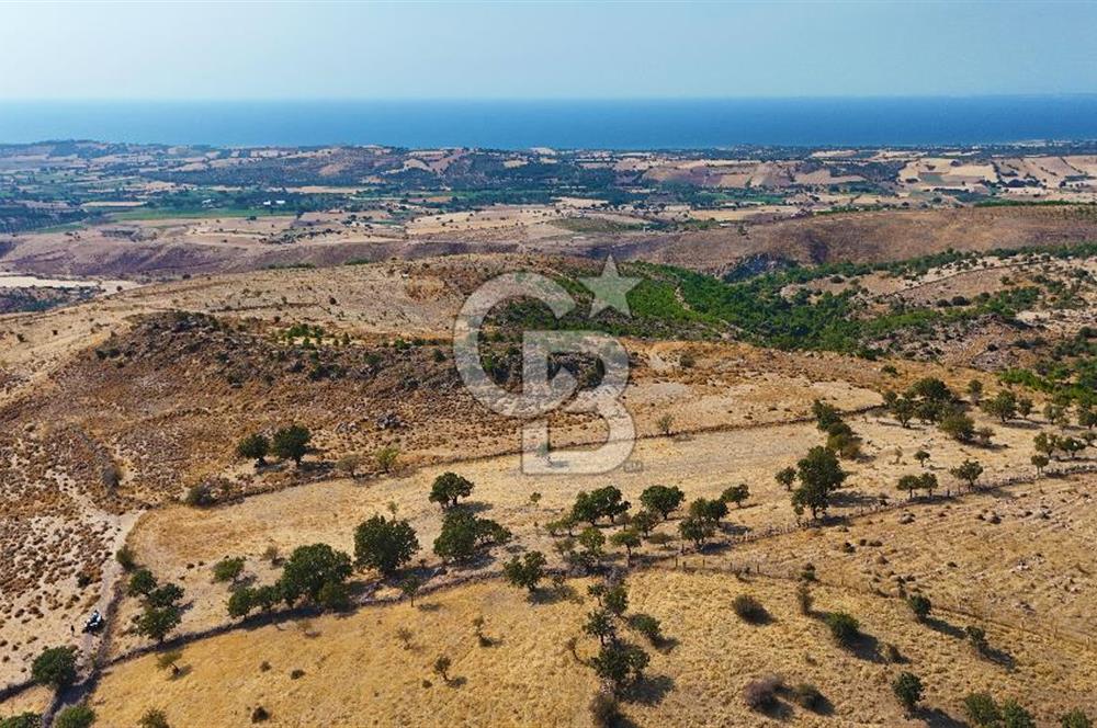 Çanakkale Ayvacık Naldöken Köyünde 10.018 M2 Satılık Tarla !