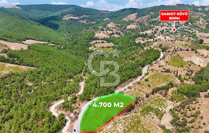 Çanakkale Bayramiç Sarıot Köyünde 4.700 M2 Satılık Üzüm Bağı !