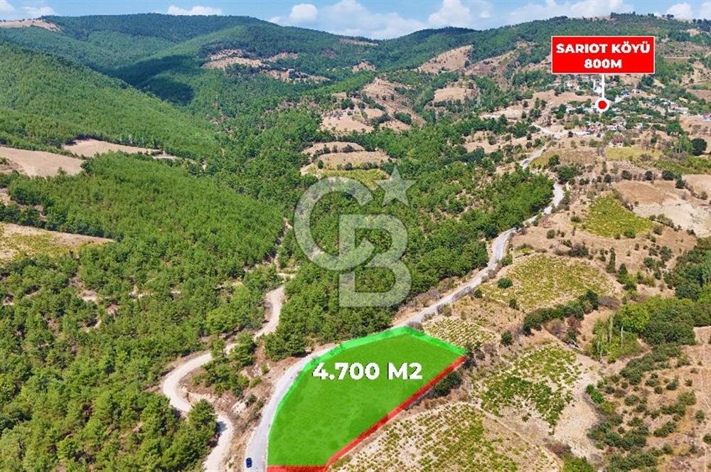 Çanakkale Bayramiç Sarıot Köyünde 4.700 M2 Satılık Üzüm Bağı !