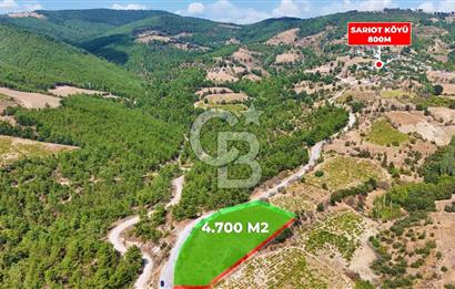 Çanakkale Bayramiç Sarıot Köyünde 4.700 M2 Satılık Üzüm Bağı !