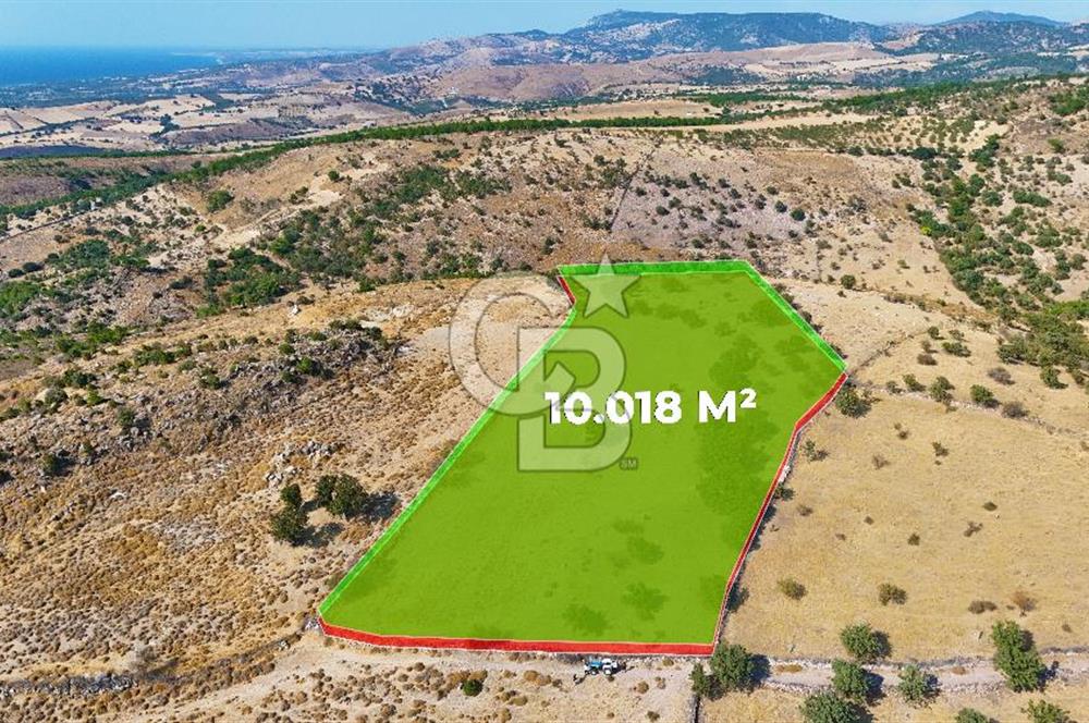 Çanakkale Ayvacık Naldöken Köyünde 10.018 M2 Satılık Tarla !