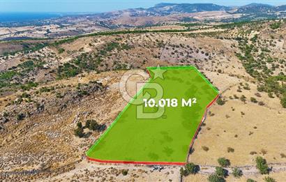 Çanakkale Ayvacık Naldöken Köyünde 10.018 M2 Satılık Tarla !