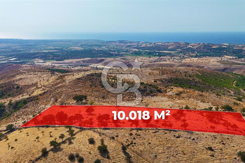 Çanakkale Ayvacık Naldöken Köyünde 10.018 M2 Satılık Tarla !