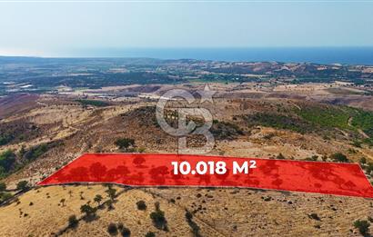 Çanakkale Ayvacık Naldöken Köyünde 10.018 M2 Satılık Tarla !