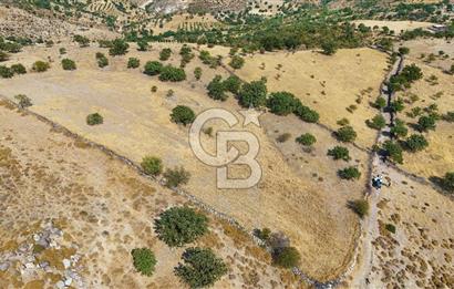 Çanakkale Ayvacık Naldöken Köyünde 10.018 M2 Satılık Tarla !