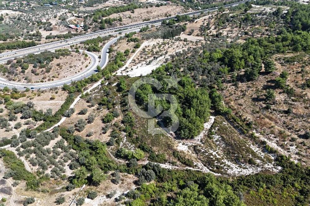 URLA KEKLİKTEPE MEVKİİN DE SATILIK YATIRIMLIK TARLA