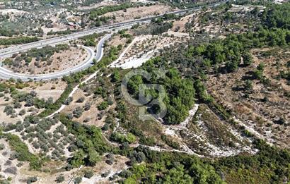 URLA KEKLİKTEPE MEVKİİN DE SATILIK YATIRIMLIK TARLA