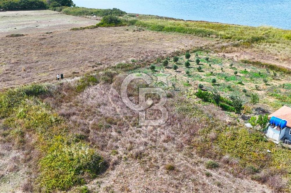 Çanakkale Lapseki Çardak da 251 m² İmara Açık Satılık Arsa