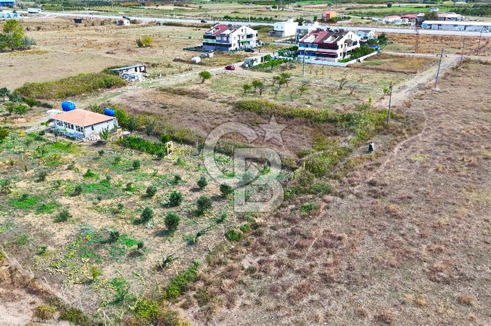 Çanakkale Lapseki Çardak da 251 m² İmara Açık Satılık Arsa