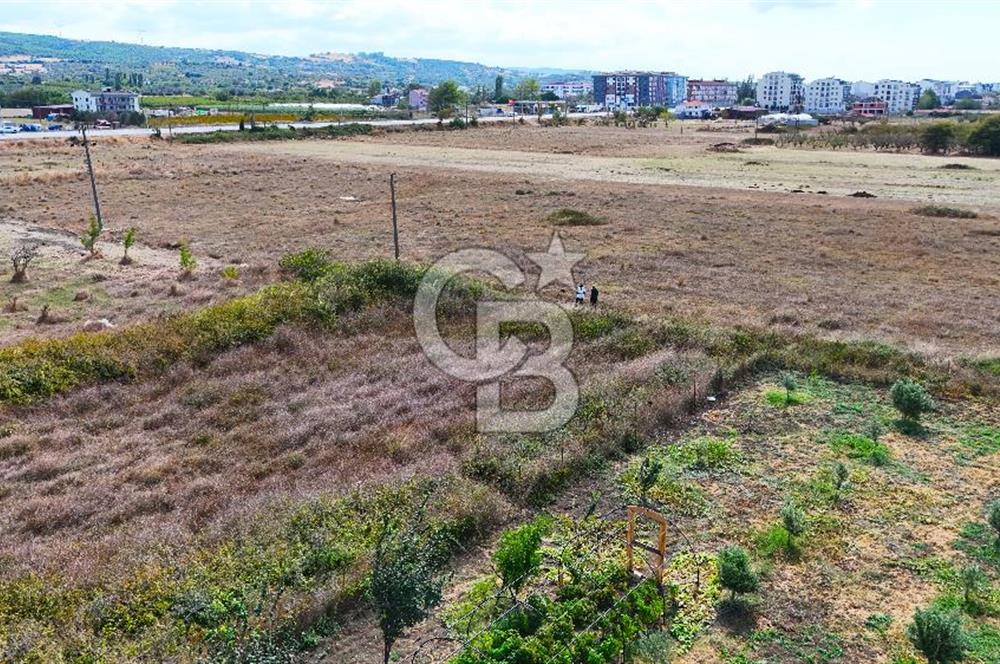 Çanakkale Lapseki Çardak da 251 m² İmara Açık Satılık Arsa