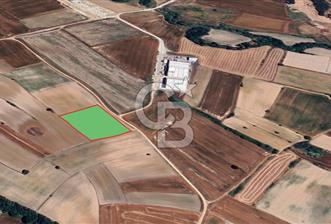 Tekirdağ Kapaklı Karaağaç' ta Satılık 8000 M2 Sanayi Arsası 