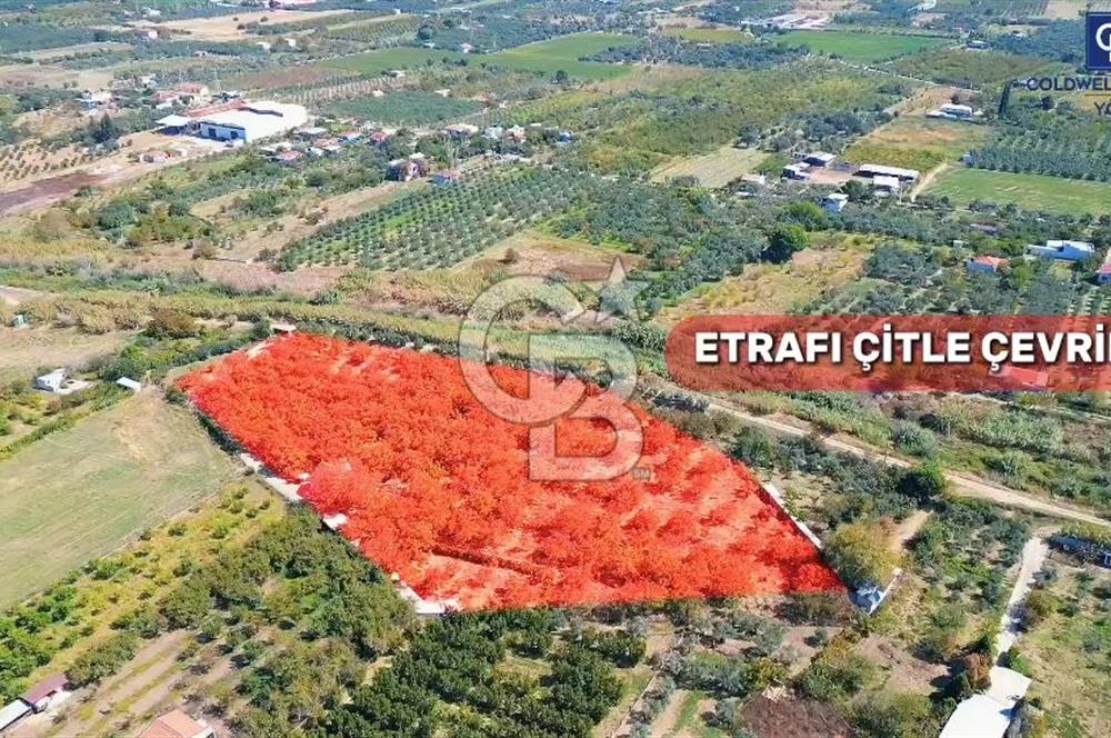 İZMİR KEMALPAŞA  11.385 M2 SATILIK TARLA BAĞ MÜSTAKİL EV