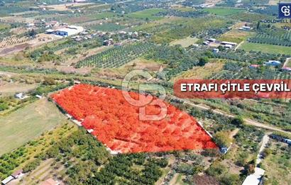 İZMİR KEMALPAŞA  11.385 M2 SATILIK TARLA BAĞ MÜSTAKİL EV