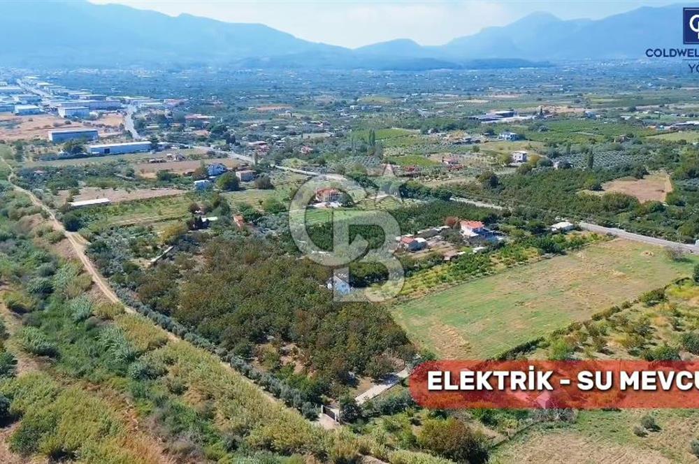 İZMİR KEMALPAŞA  11.385 M2 SATILIK TARLA BAĞ MÜSTAKİL EV