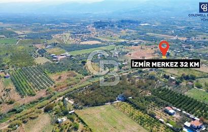 İZMİR KEMALPAŞA  11.385 M2 SATILIK TARLA BAĞ MÜSTAKİL EV