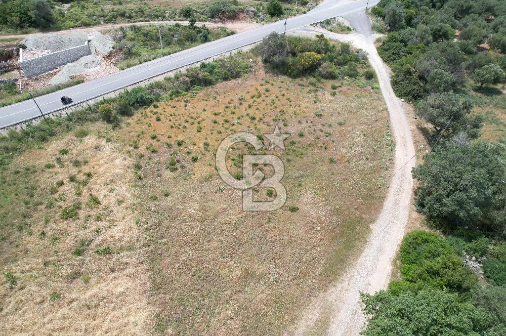 KARABURUNDA DENİZ MANZARALI ANAYOLA SIFIR KÖŞE PARSEL ARSA